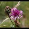 20150614_0031
